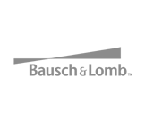 BlueLink logo